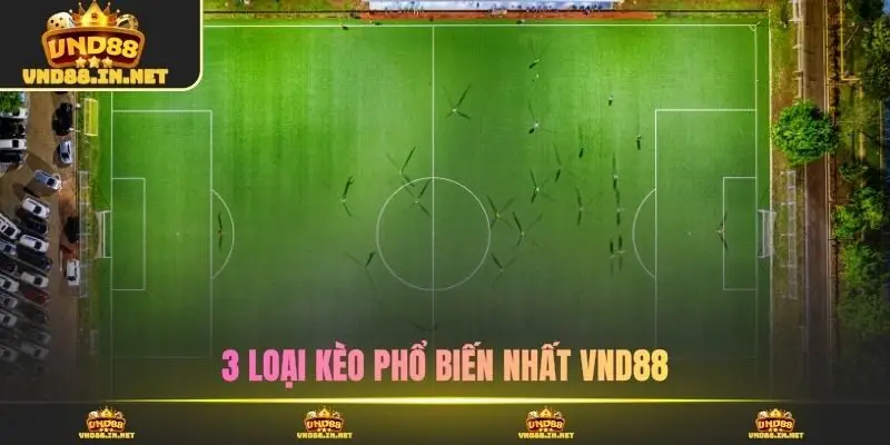 3 loại kèo phổ biến nhất VND88