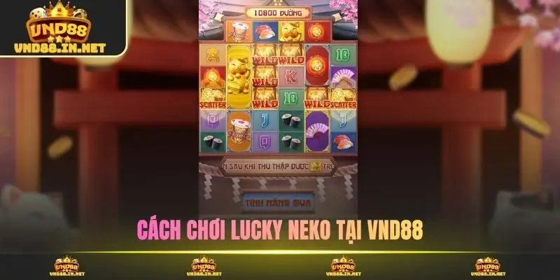 Cách chơi lucky neko tại VND88