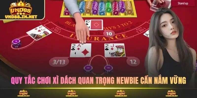 Quy tắc chơi xì dách quan trọng newbie cần nắm vững